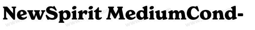 NewSpirit MediumCond字体转换